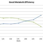 metabolic-efficiency-image3
